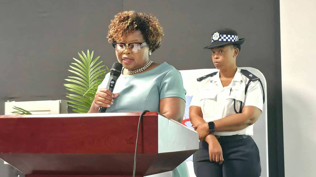 Eswatini tourism arrivals surge 16.3%